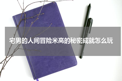 宅男的人间冒险米高的秘密成就怎么玩