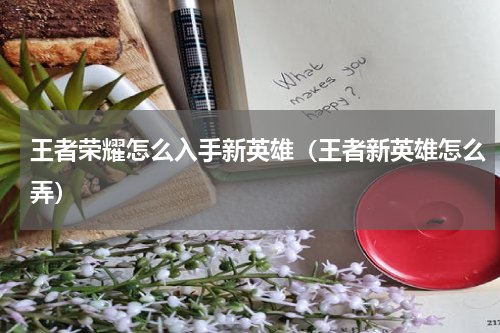 王者荣耀怎么入手新英雄（王者新英雄怎么弄）