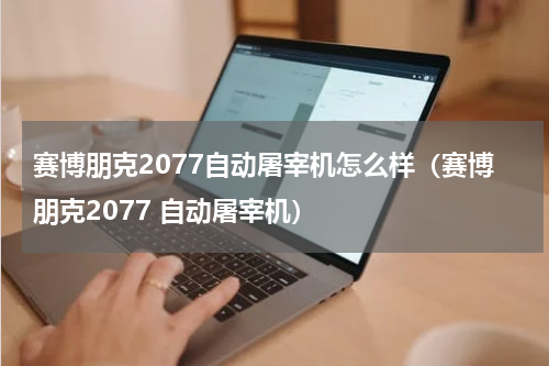 赛博朋克2077自动屠宰机怎么样（赛博朋克2077 自动屠宰机）