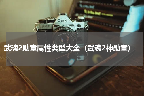 武魂2勋章属性类型大全（武魂2神勋章）