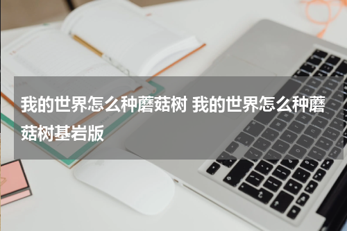 我的世界怎么种蘑菇树 我的世界怎么种蘑菇树基岩版