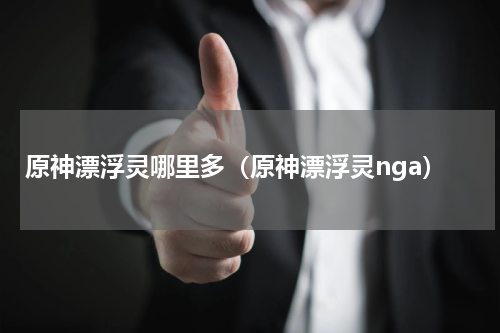 原神漂浮灵哪里多（原神漂浮灵nga）