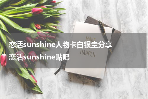 恋活sunshine人物卡白银圭分享 恋活sunshine贴吧