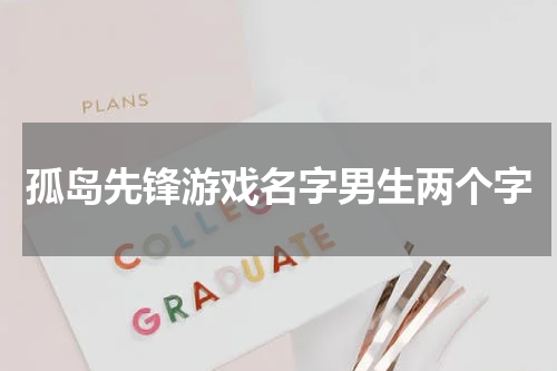 孤岛先锋游戏名字男生两个字