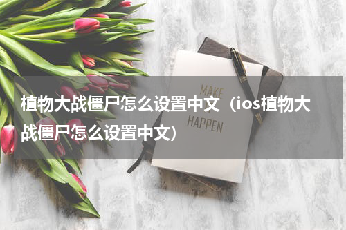 植物大战僵尸怎么设置中文（ios植物大战僵尸怎么设置中文）