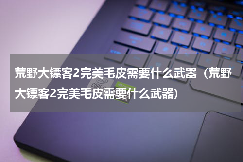 荒野大镖客2完美毛皮需要什么武器（荒野大镖客2完美毛皮需要什么武器）