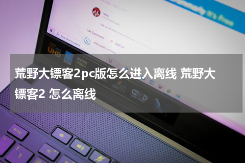 荒野大镖客2pc版怎么进入离线 荒野大镖客2 怎么离线