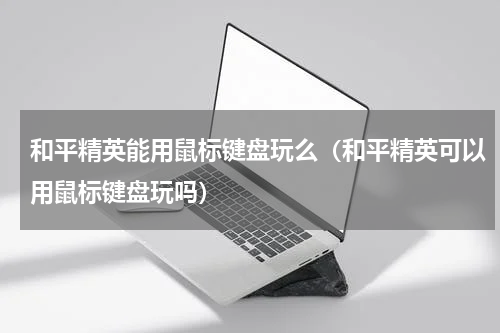 和平精英能用鼠标键盘玩么（和平精英可以用鼠标键盘玩吗）