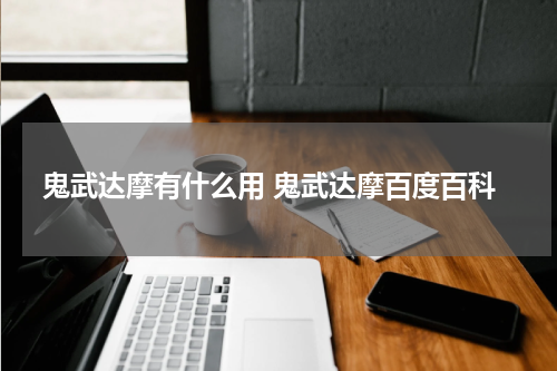 鬼武达摩有什么用 鬼武达摩百度百科
