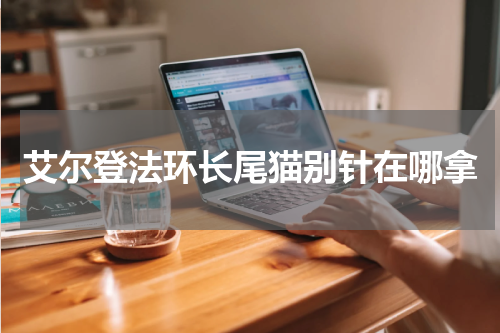 艾尔登法环长尾猫别针在哪拿
