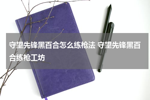 守望先锋黑百合怎么练枪法 守望先锋黑百合练枪工坊