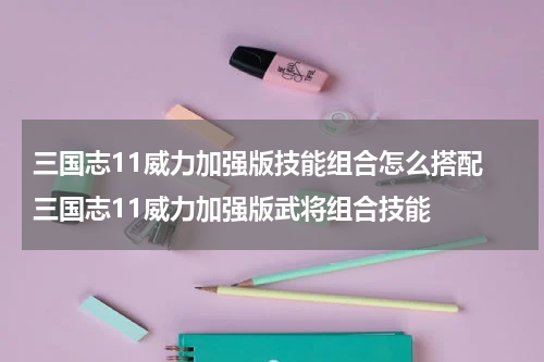 三国志11威力加强版技能组合怎么搭配 三国志11威力加强版武将组合技能