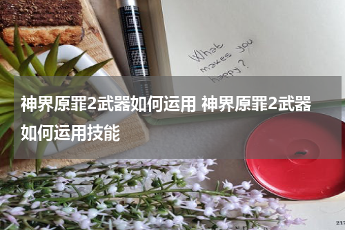 神界原罪2武器如何运用 神界原罪2武器如何运用技能
