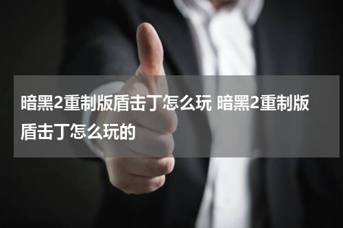 暗黑2重制版盾击丁怎么玩 暗黑2重制版盾击丁怎么玩的