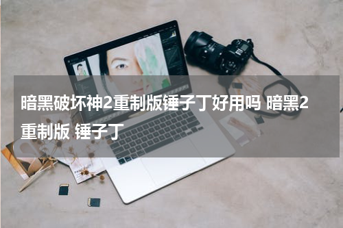 暗黑破坏神2重制版锤子丁好用吗 暗黑2重制版 锤子丁