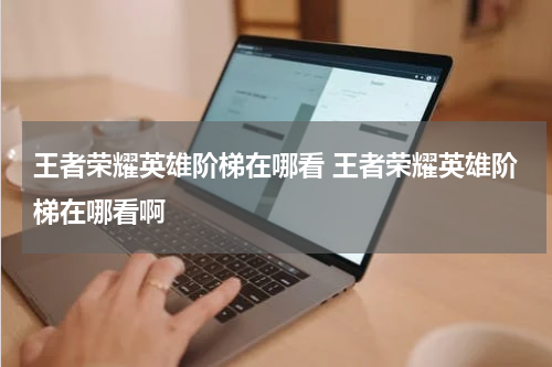 王者荣耀英雄阶梯在哪看 王者荣耀英雄阶梯在哪看啊