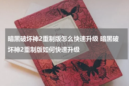 暗黑破坏神2重制版怎么快速升级 暗黑破坏神2重制版如何快速升级