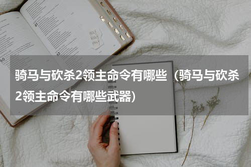 骑马与砍杀2领主命令有哪些（骑马与砍杀2领主命令有哪些武器）