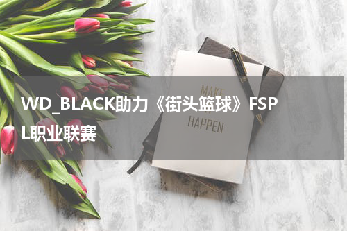 WD_BLACK助力《街头篮球》FSPL职业联赛